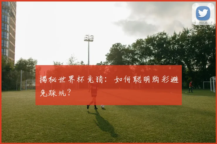 揭秘世界杯竞猜：如何聪明购彩避免踩坑？