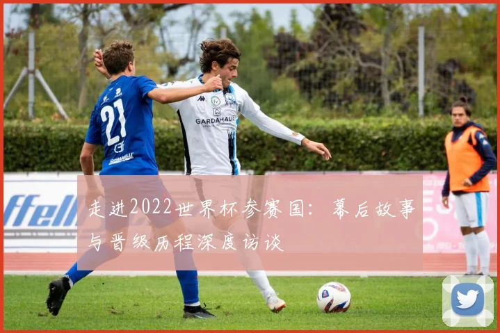 走进2022世界杯参赛国：幕后故事与晋级历程深度访谈