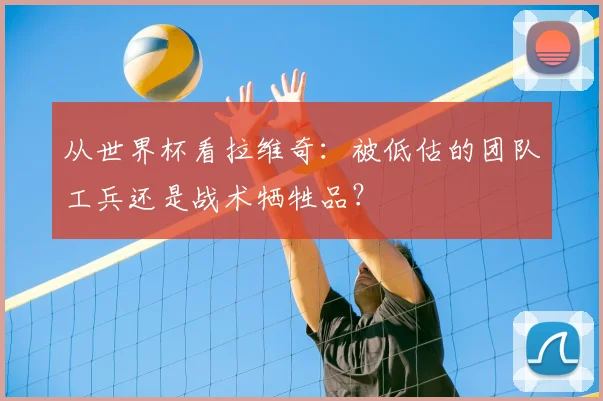 从世界杯看拉维奇：被低估的团队工兵还是战术牺牲品？