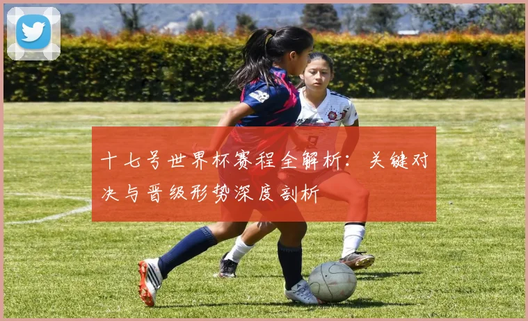 十七号世界杯赛程全解析：关键对决与晋级形势深度剖析
