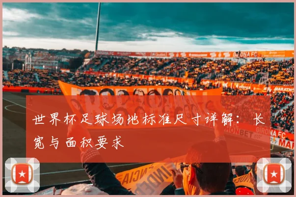 世界杯足球场地标准尺寸详解：长宽与面积要求
