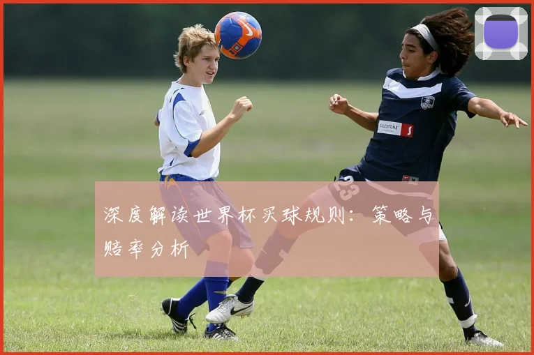 深度解读世界杯买球规则：策略与赔率分析