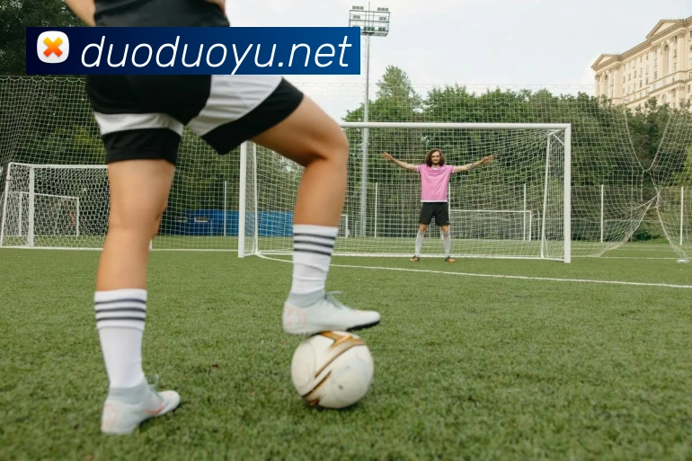 开云app登录app网站入口发展历程